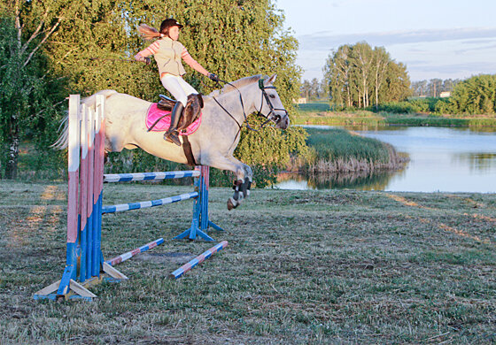 konik