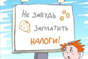 налоги1