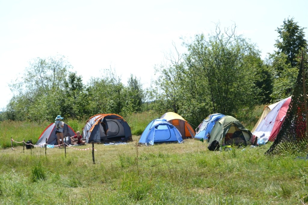 turs2013_2