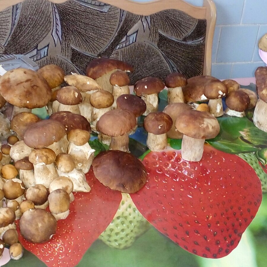 IMG_20170808_141757_023