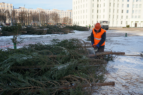 В Могилеве на площади Ленина идет установка главной новогодней елки области.