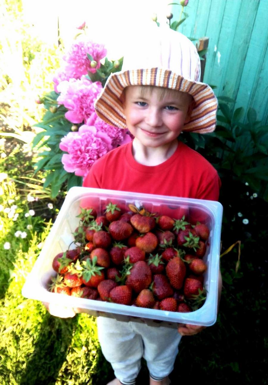 Тимур и клубника