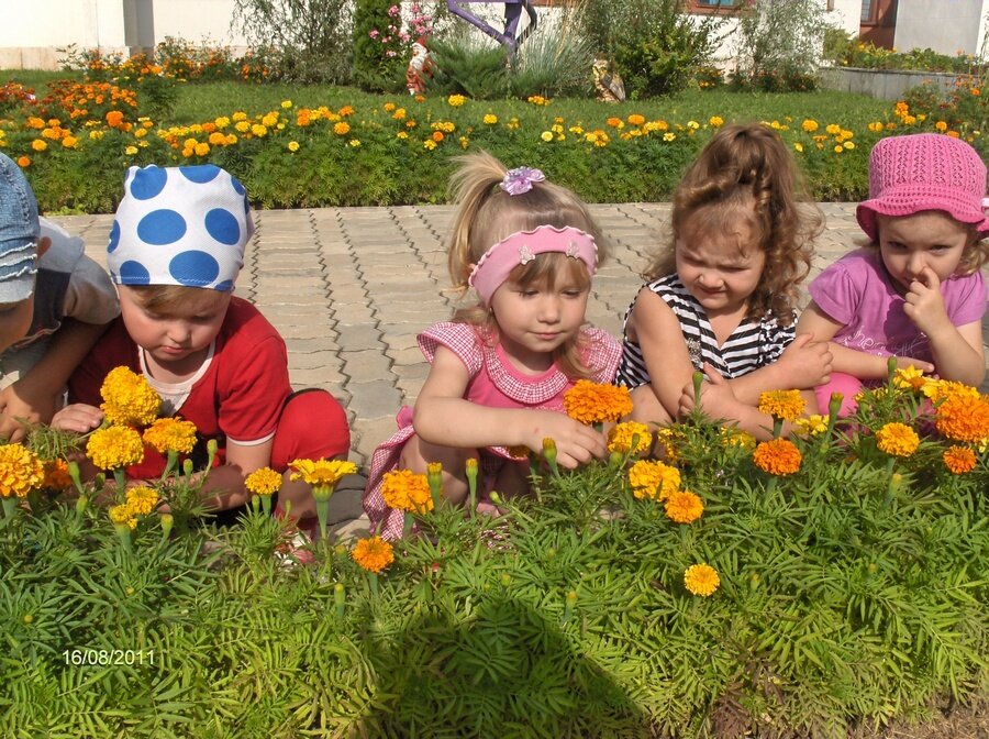 хороши у нас в саду цветочки (1)