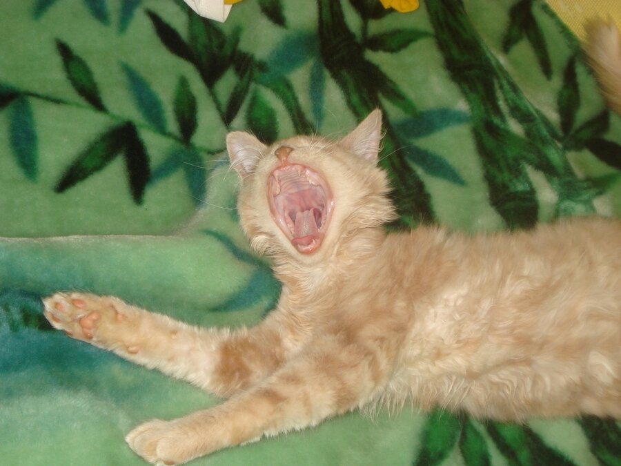 Фотоконкурс-3