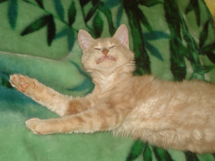 Фотоконкурс-4