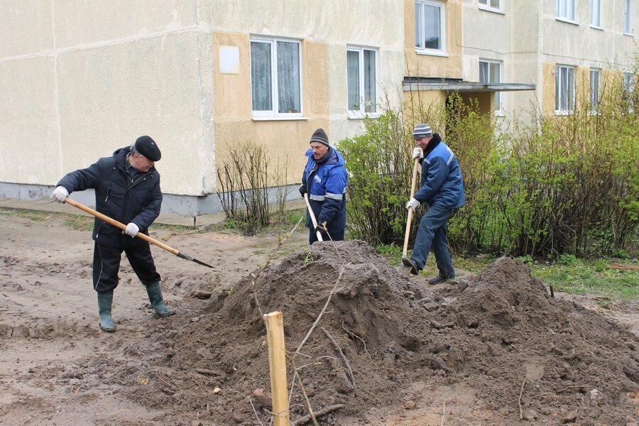 Суббота-7