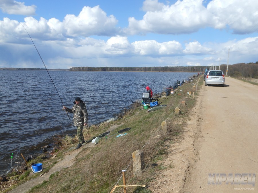 На Чигиринском водохранилище прошли республиканские соревнования по рыбной ловле “Кубок VICTORY-2017”