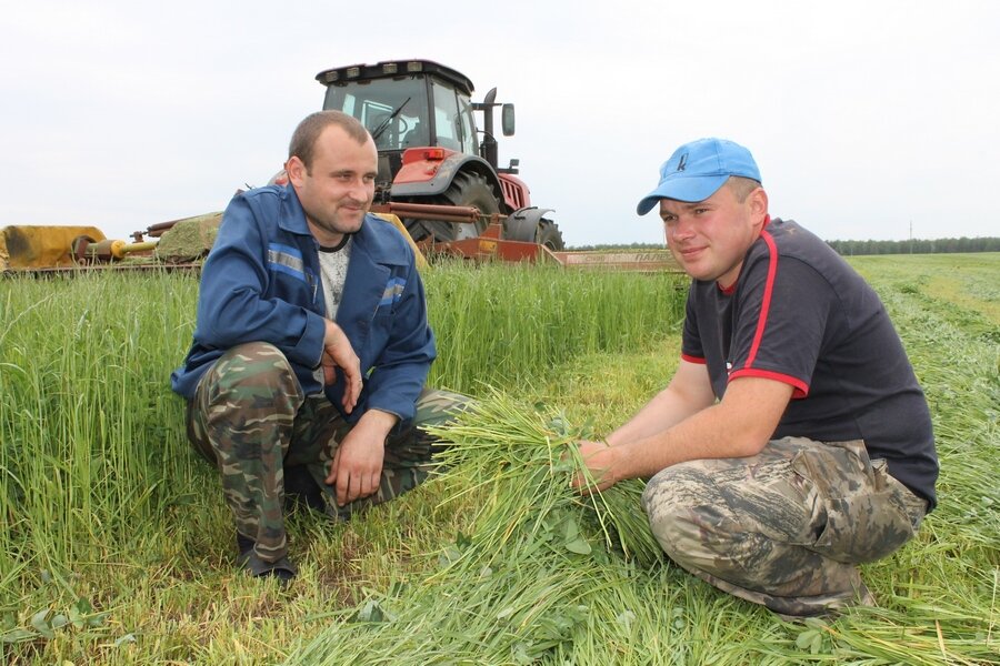 РАПТС косит-11