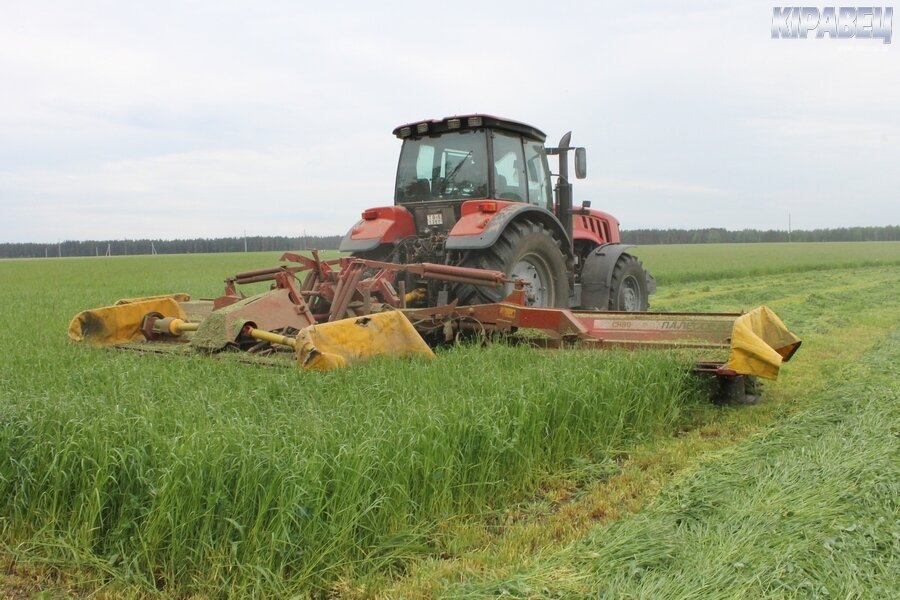 РАПТС косит-8