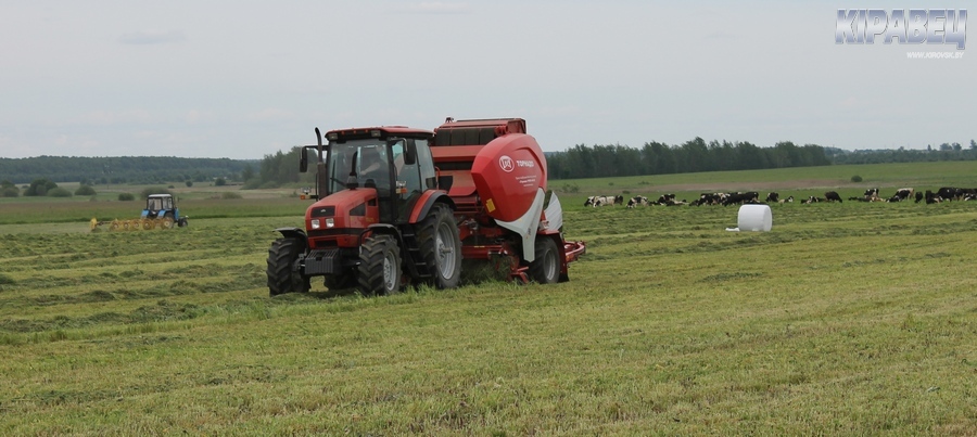 РАПТС косит-9