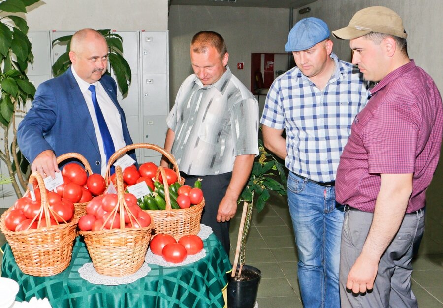 Семинар-Рассвет-1