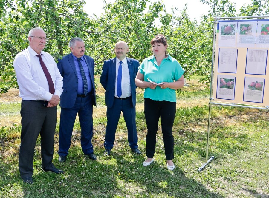 Семинар-Рассвет-4