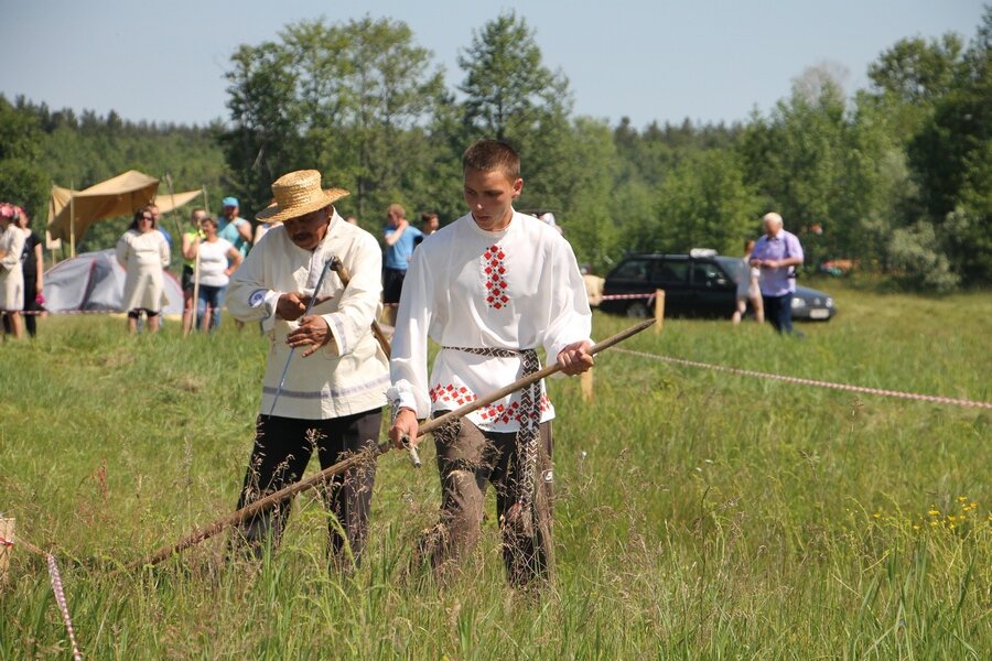 Сено-31