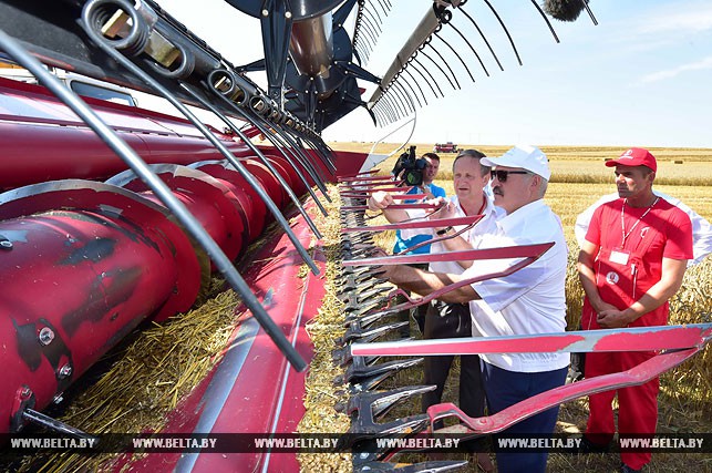 Президент на флагманском белорусском комбайне проинспектировал ход жатвы