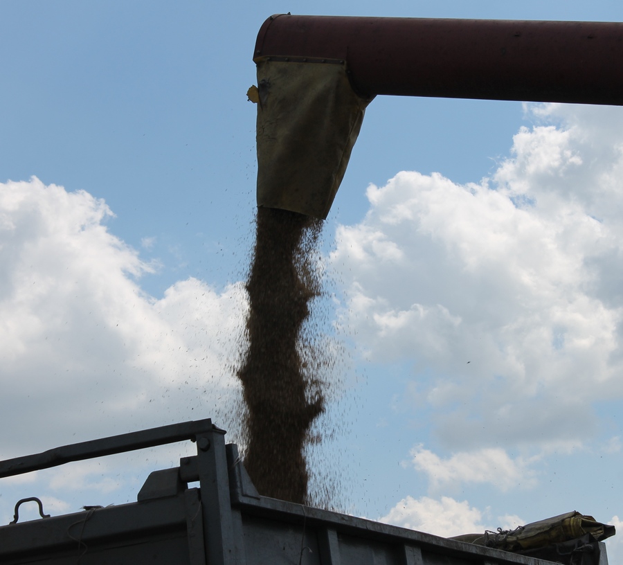 РАПТС-жниво-5