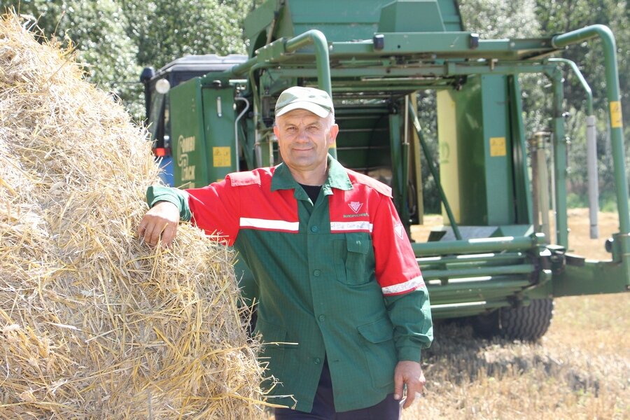 Чигир-жниво-3