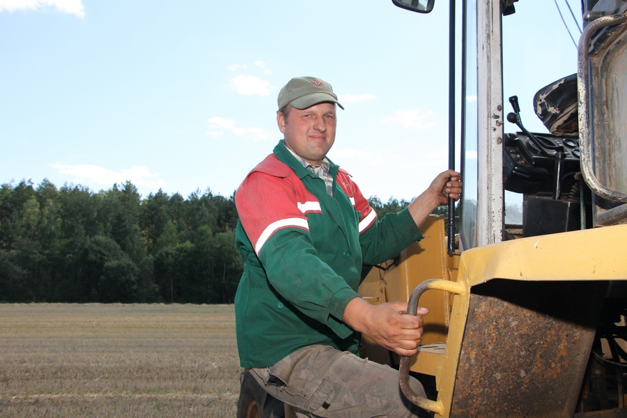 Чигир-жниво-4