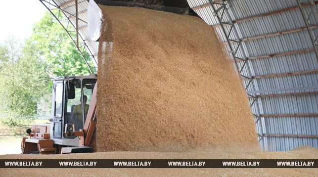 Беларусь в 2017 году соберет около 10 млн т зерновых – Леонид Заяц