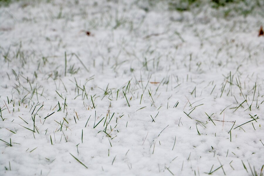 Зим пришел-1