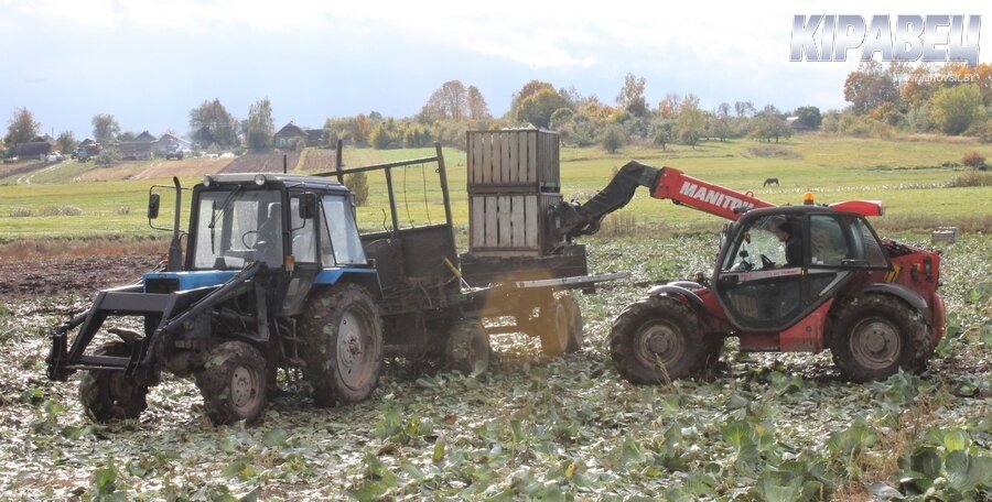 Рассвет-осень-2