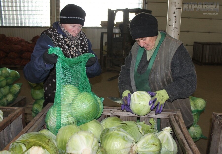 Рассвет-осень-4