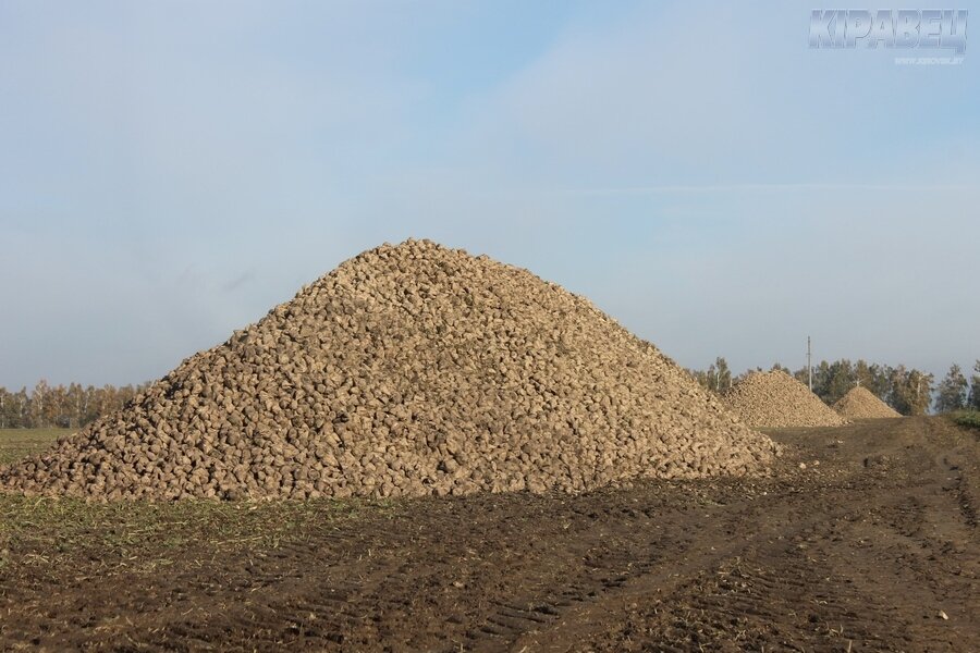 Рассвет-осень-6