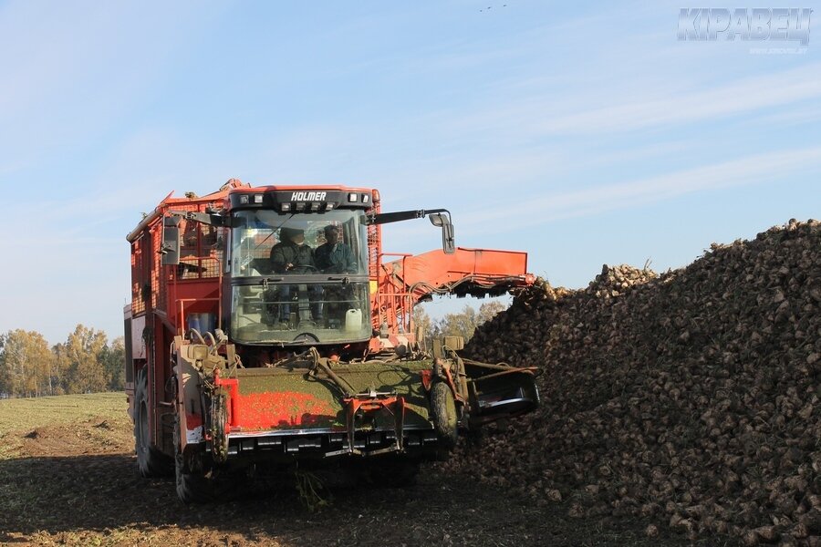 Рассвет-осень-7