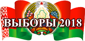 В местные Советы в Беларуси избраны 18 110 депутатов