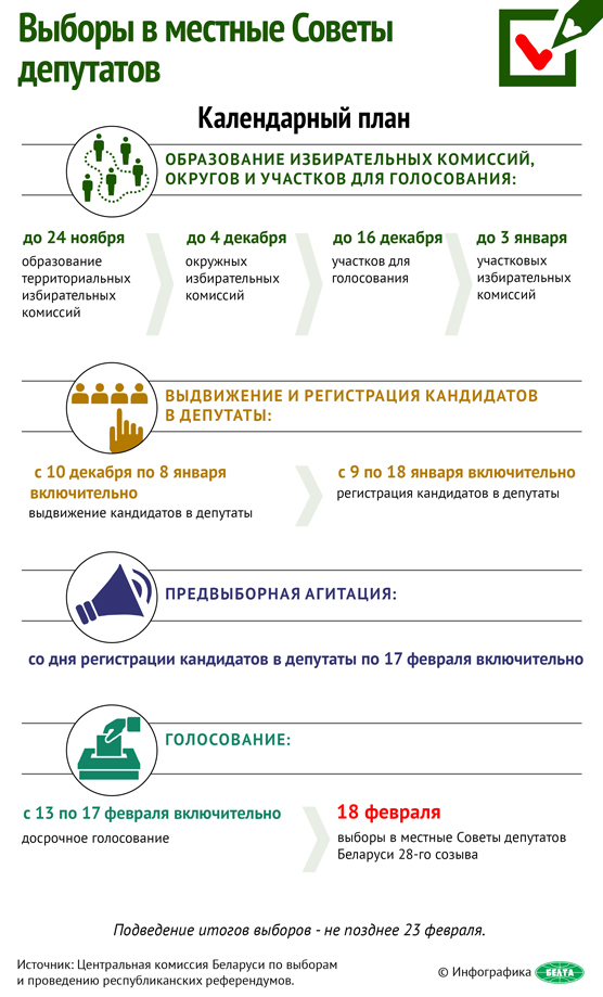Выборы в местные Советы депутатов (инфографика)