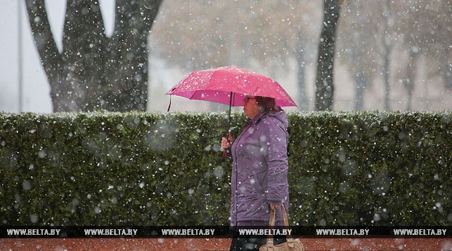 Дождь и мокрый снег ожидаются в Беларуси в первой половине недели