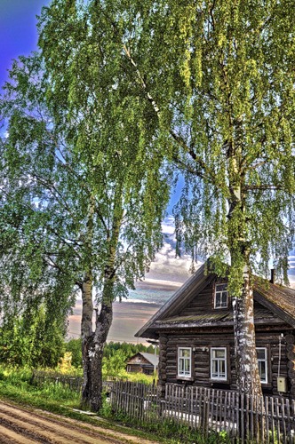 Береза и домик