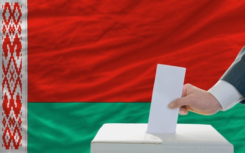 Работает Могилевская областная избирательная комиссия