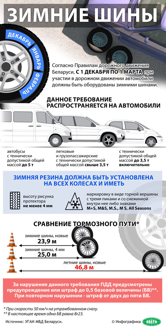 Инфографика-шины