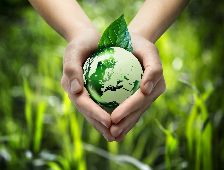 Кировская районная инспекция природных ресурсов и охраны окружающей среды разъясняет требования Декрета № 7 в области охраны окружающей среды