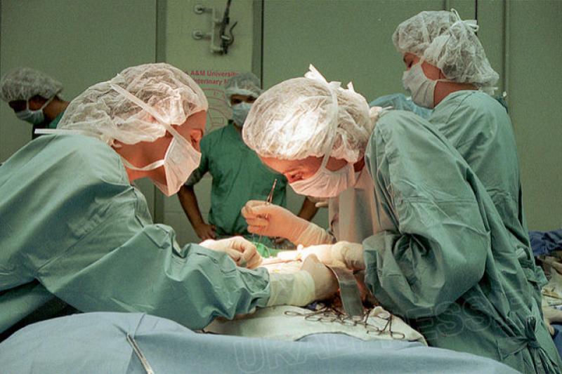 Первую операцию по пересадке почки провели в Могилеве
