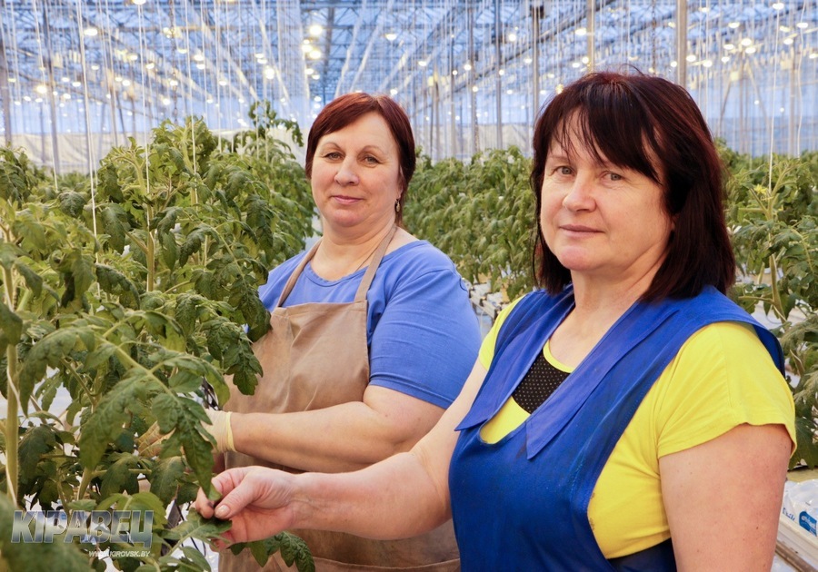 Тепленько-1