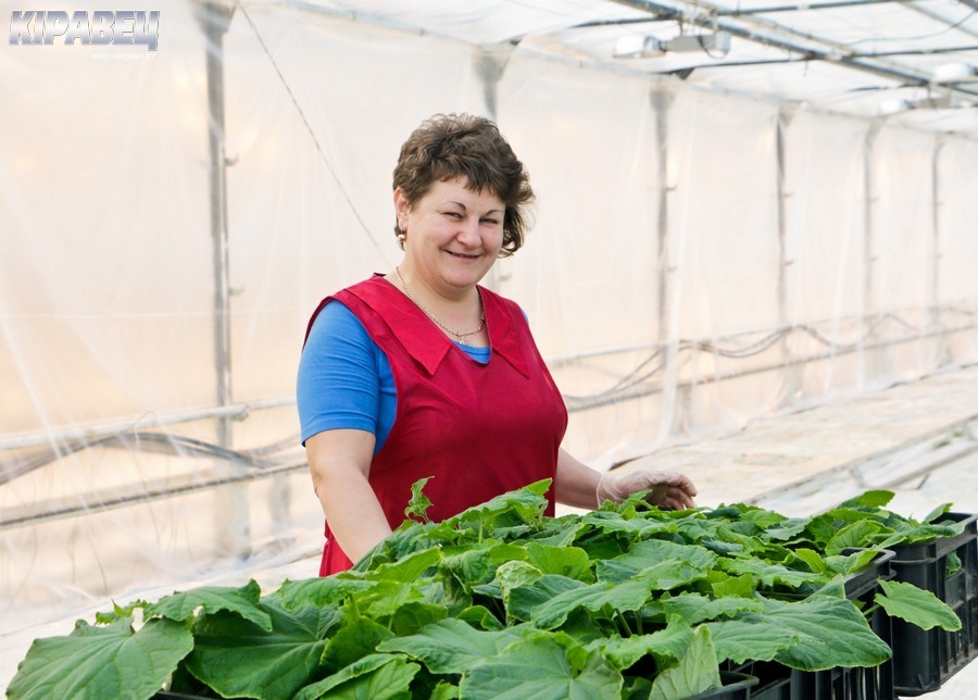 Тепленько-5