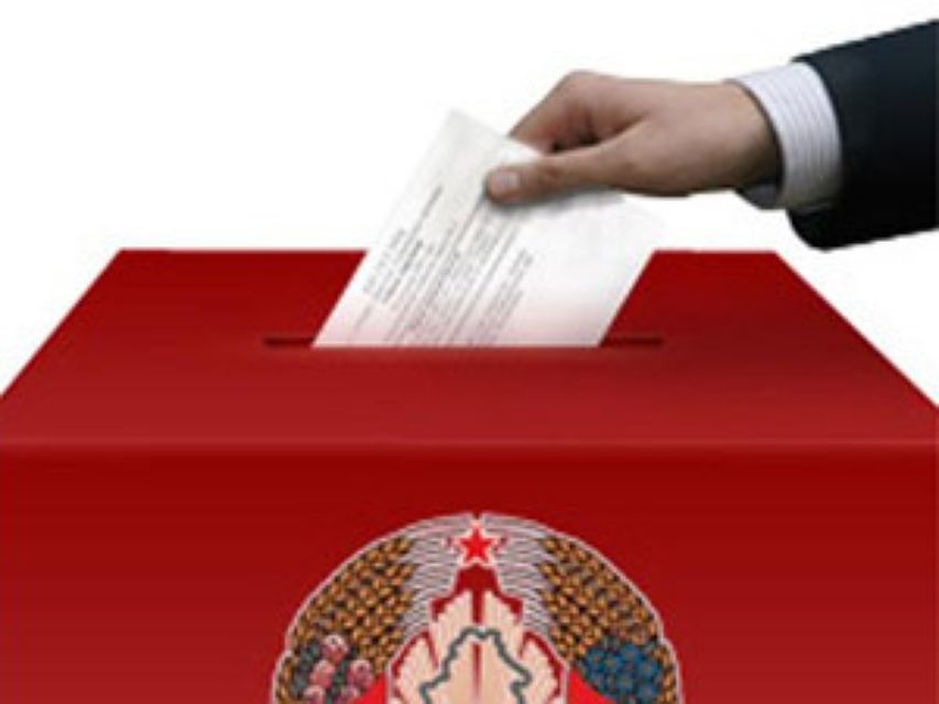 За два дня досрочного голосования участие в местных выборах в Беларуси приняли более 11% избирателей