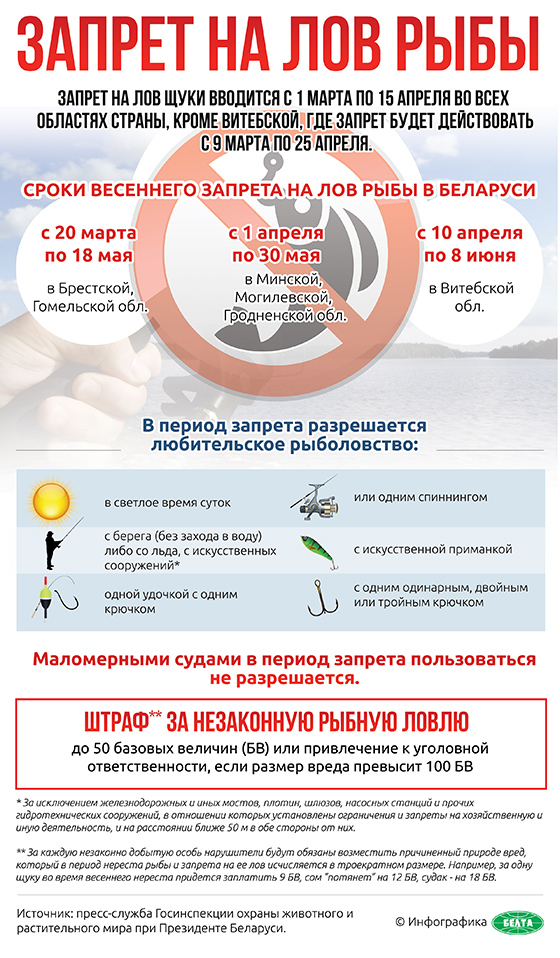 Сроки весеннего запрета на лов рыбы в Беларуси (инфографика)