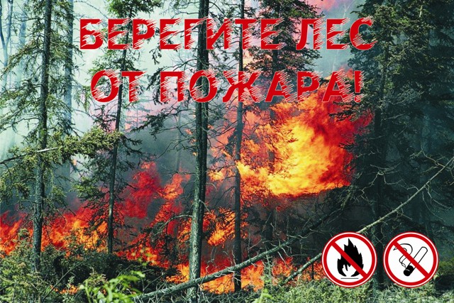 За минувшие выходные спасатели Кировщины ликвидировали 2 лесных пожара