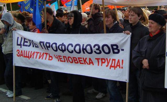 Елена Глекова: профсоюзы — на защите прав трудящихся