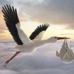 Classic depiction of a stork in flight delivering a newborn baby