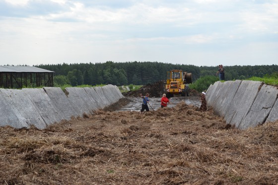 Оплачиваемые общественные работы на Кировщине