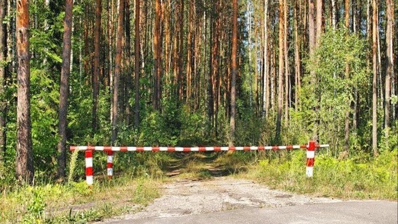 Запрет на посещение лесов Могилевской области планируется ввести в ближайшие дни