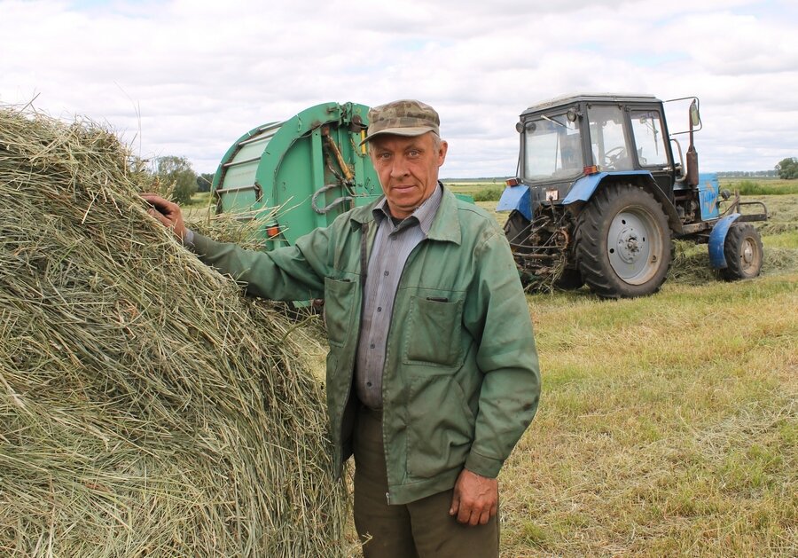 Рассвет косит-4