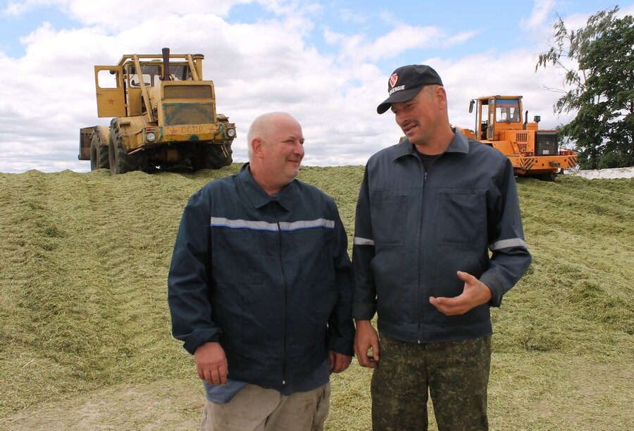 Рассвет косит-6