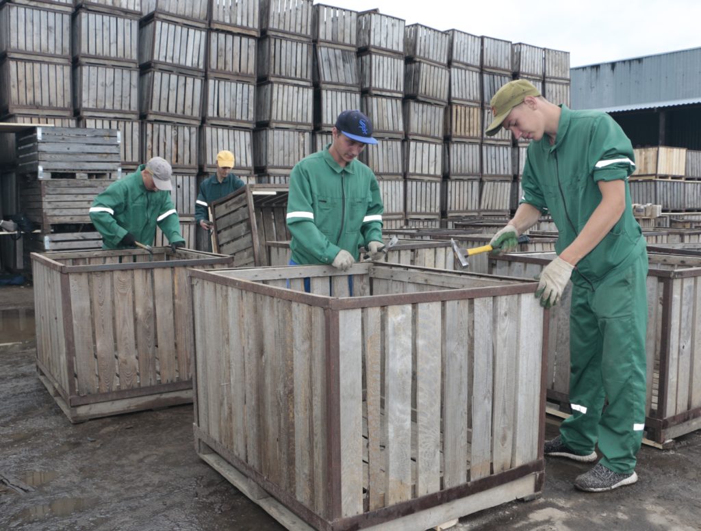 Стройотрядовцы-1