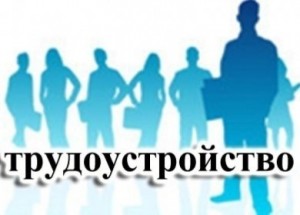 21 февраля в Кировском РДК состоится заседание постоянно действующей комиссии по координации работы по содействию занятости населения