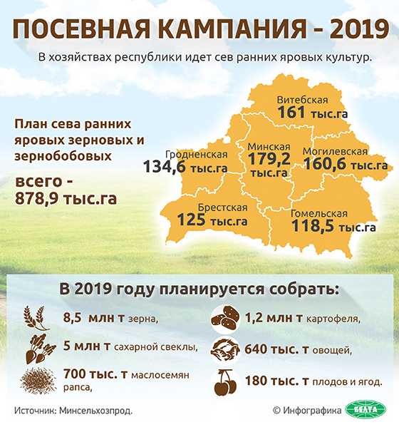 Посевная кампания-2019 (инфографика)