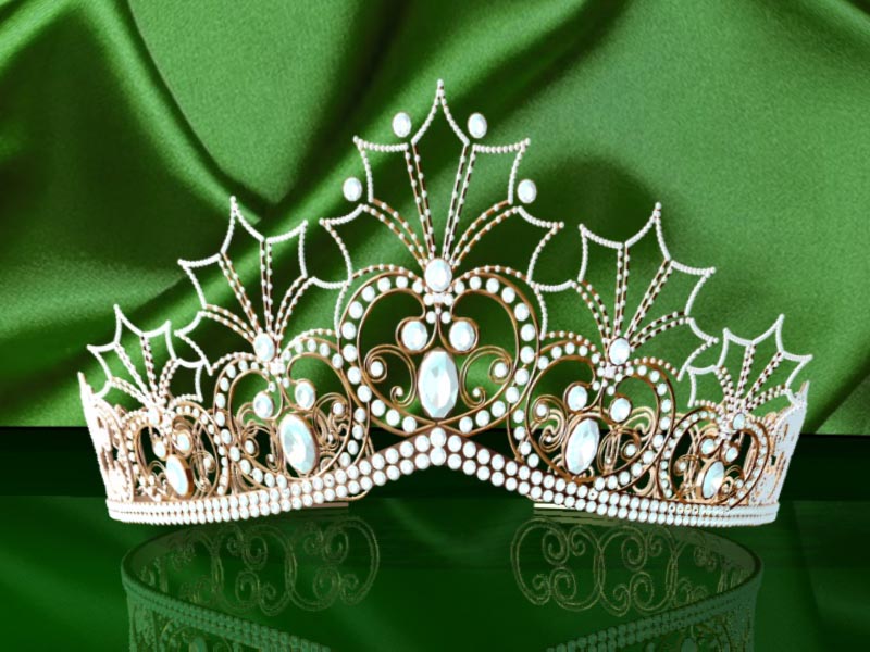 Знакомьтесь: претендентки на звание «Мисс-Кировчанка-2019» (фото и анкетные данные конкурсанток)